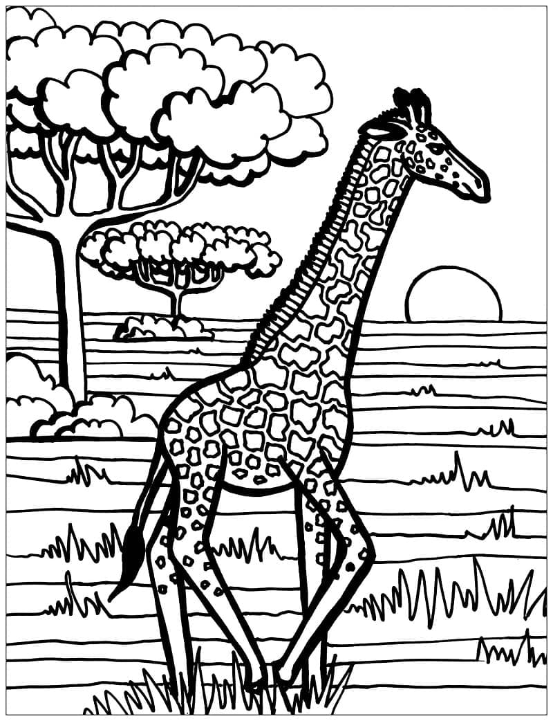 Free printable Giraffe coloring page #177620 from Animals collection