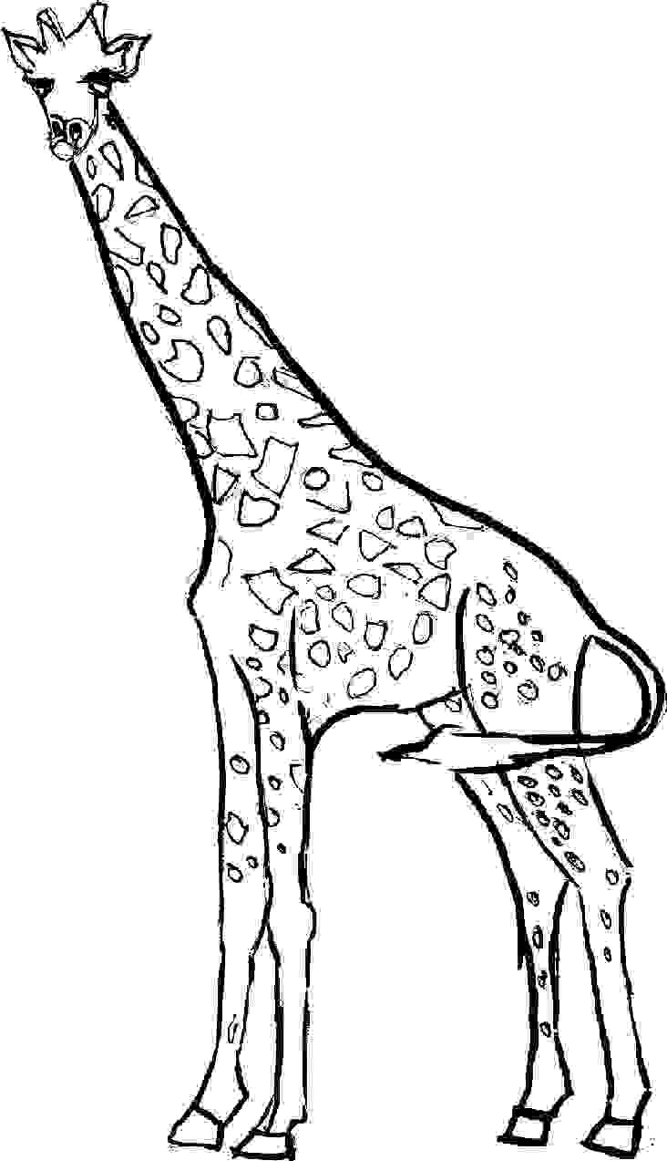 Coloring page: Giraffe (Animals) #7219 - Free Printable Coloring Pages