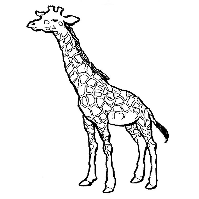 Coloring page: Giraffe (Animals) #7223 - Free Printable Coloring Pages