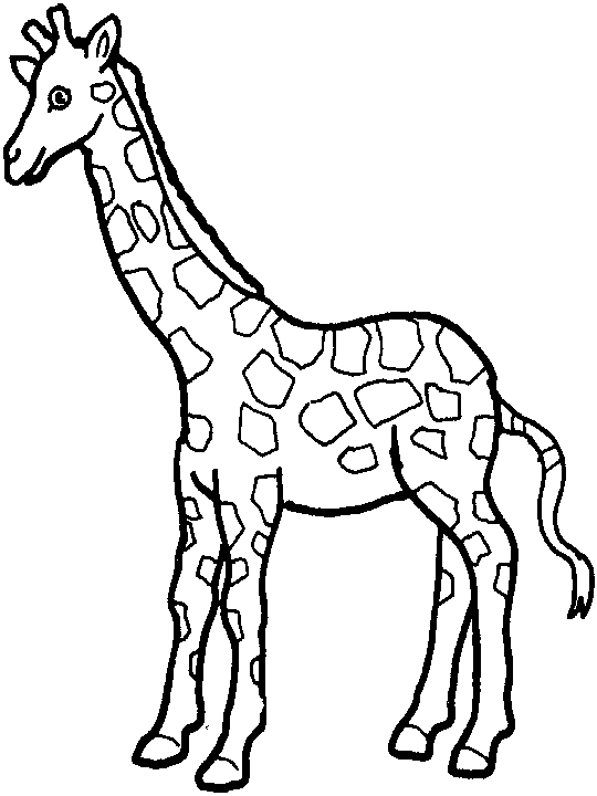 Coloring page: Giraffe (Animals) #7225 - Free Printable Coloring Pages