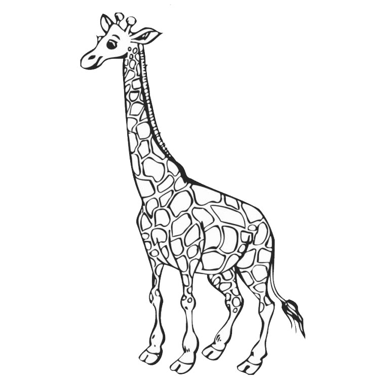 Coloring page: Giraffe (Animals) #7226 - Free Printable Coloring Pages