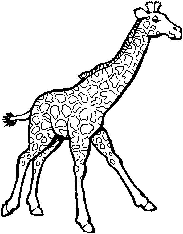 Coloring page: Giraffe (Animals) #7246 - Free Printable Coloring Pages