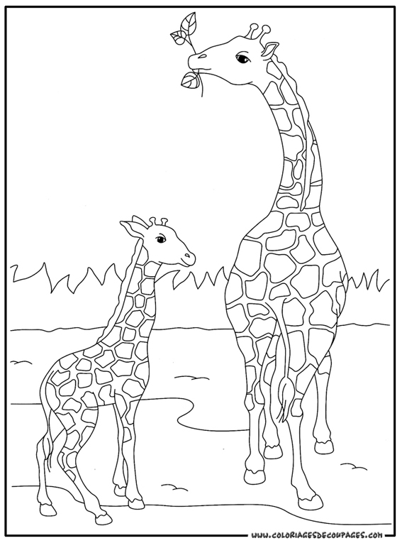 Coloring page: Giraffe (Animals) #7248 - Free Printable Coloring Pages