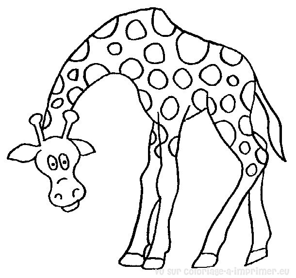 Coloring page: Giraffe (Animals) #7250 - Free Printable Coloring Pages