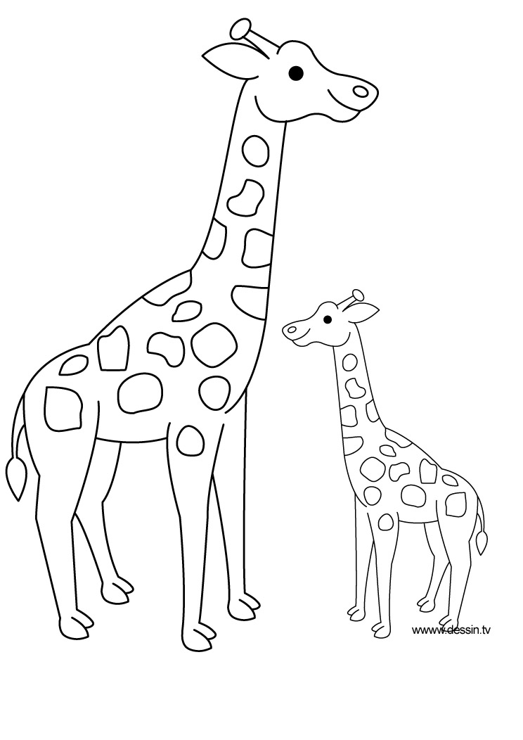 Coloring page: Giraffe (Animals) #7259 - Free Printable Coloring Pages