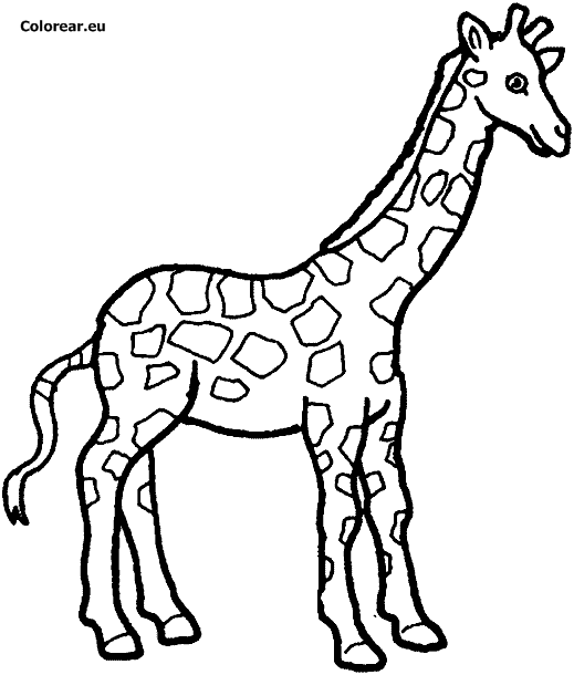 Coloring page: Giraffe (Animals) #7261 - Free Printable Coloring Pages