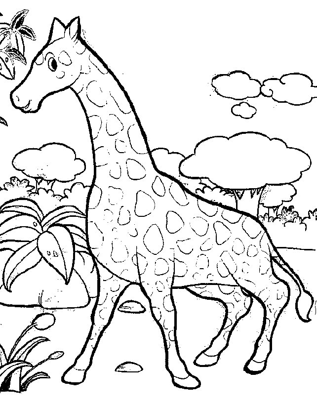 Coloring page: Giraffe (Animals) #7262 - Free Printable Coloring Pages