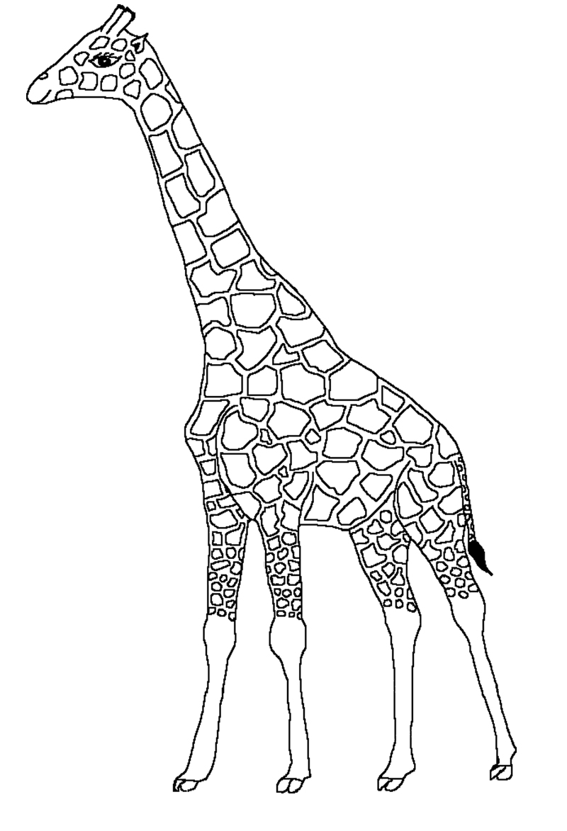 Coloring page: Giraffe (Animals) #7275 - Free Printable Coloring Pages
