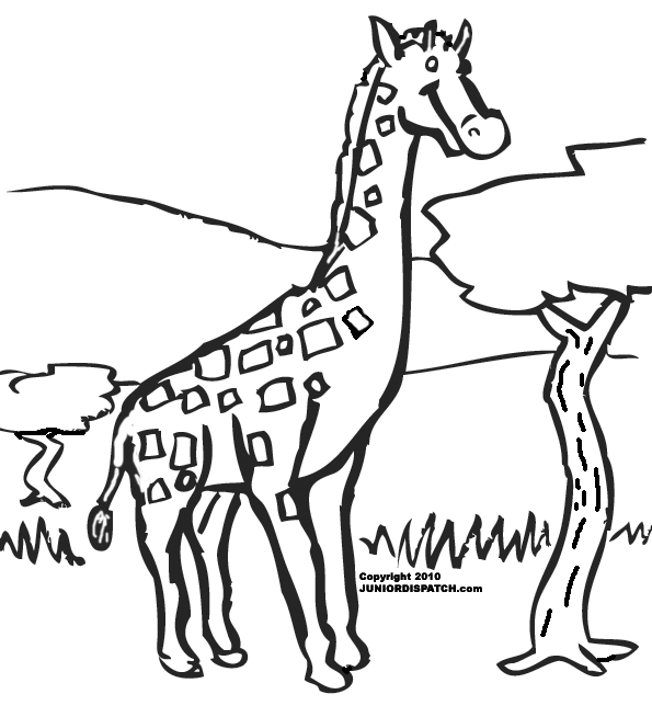 Coloring page: Giraffe (Animals) #7287 - Free Printable Coloring Pages