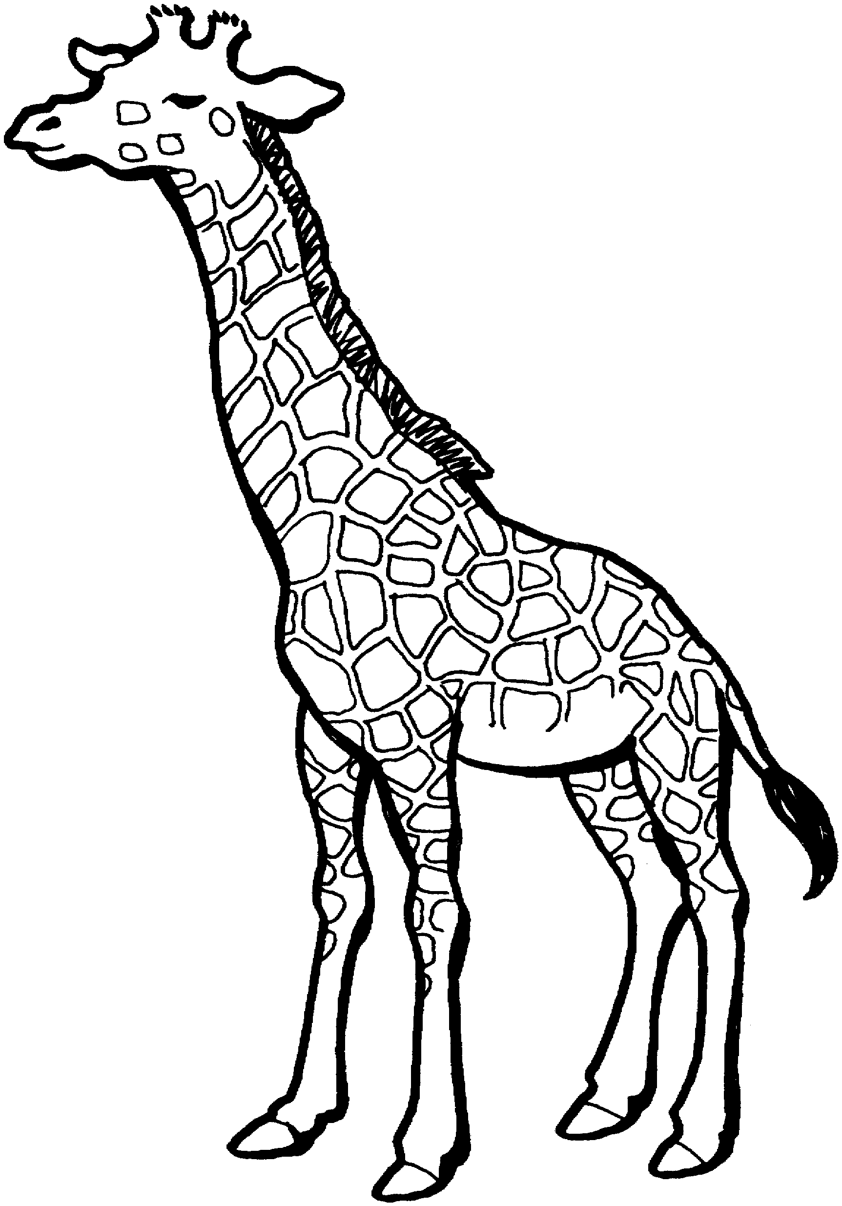 Coloring page: Giraffe (Animals) #7291 - Free Printable Coloring Pages