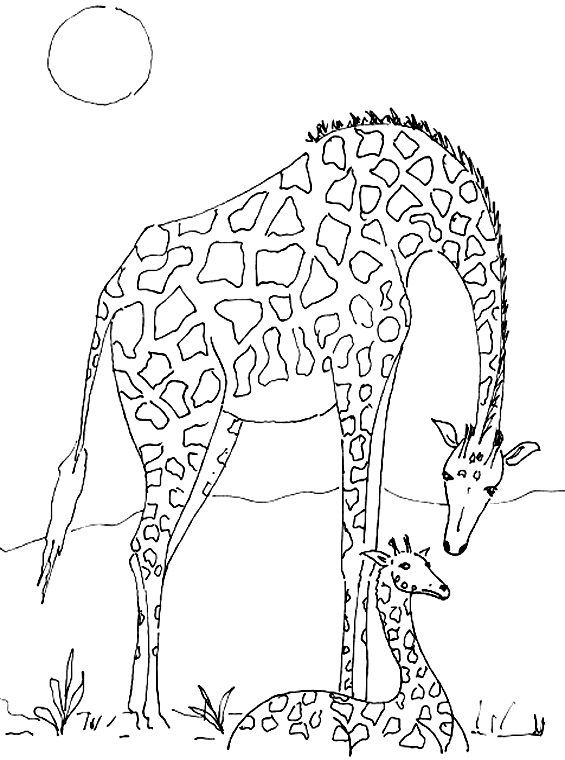 Coloring page: Giraffe (Animals) #7302 - Free Printable Coloring Pages