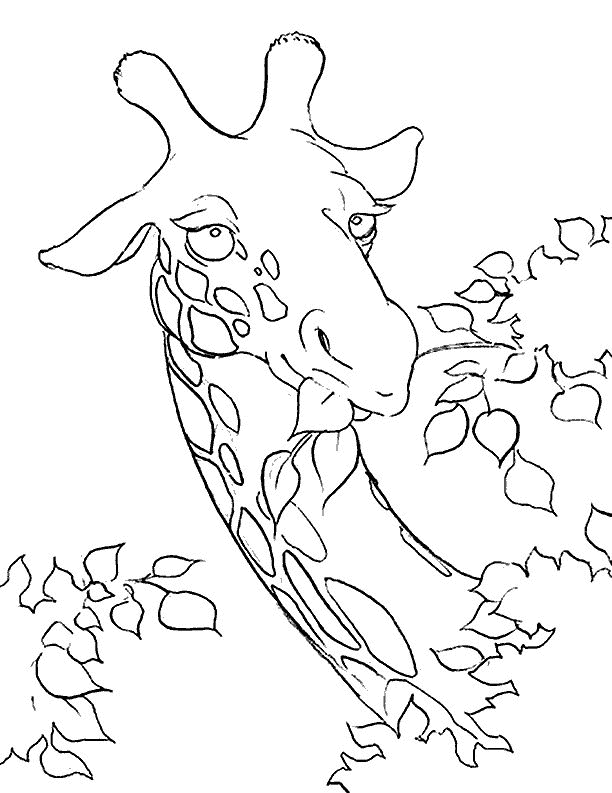 Coloring page: Giraffe (Animals) #7325 - Free Printable Coloring Pages