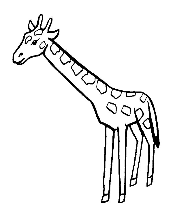 Coloring page: Giraffe (Animals) #7351 - Free Printable Coloring Pages