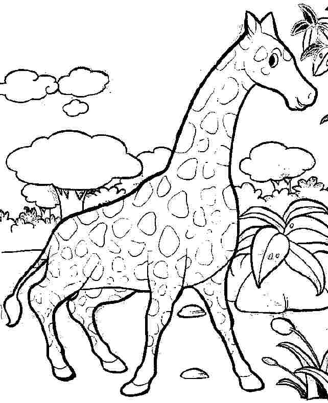 Coloring page: Giraffe (Animals) #7380 - Free Printable Coloring Pages