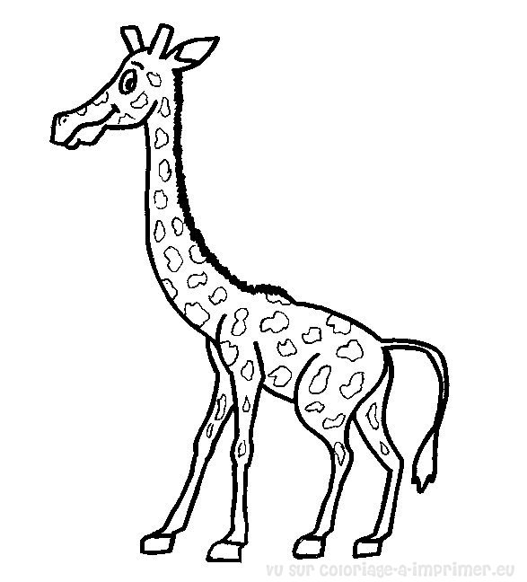 Coloring page: Giraffe (Animals) #7386 - Free Printable Coloring Pages