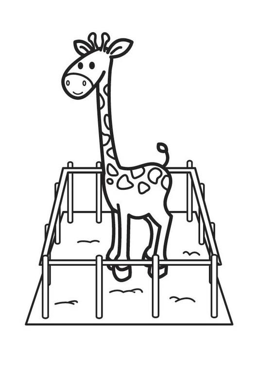 Coloring page: Giraffe (Animals) #7391 - Free Printable Coloring Pages