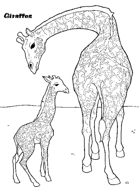 Coloring page: Giraffe (Animals) #7413 - Free Printable Coloring Pages