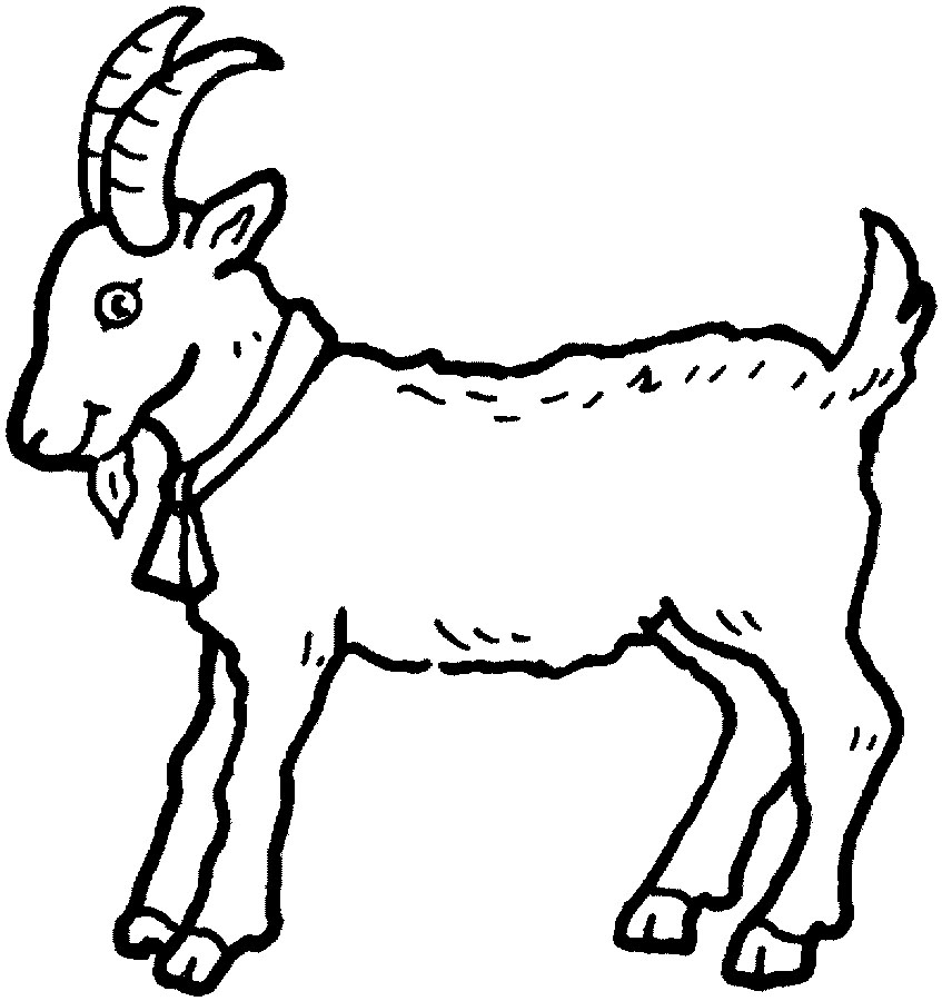Coloring page: Goat (Animals) #2361 - Free Printable Coloring Pages
