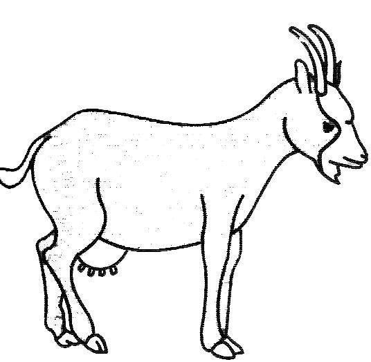 Coloring page: Goat (Animals) #2396 - Free Printable Coloring Pages