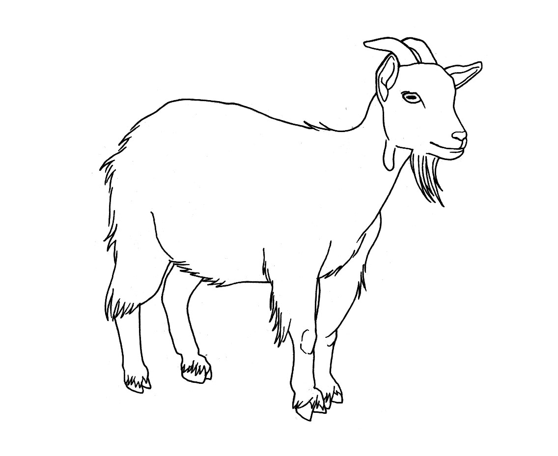 Coloring page: Goat (Animals) #2406 - Free Printable Coloring Pages