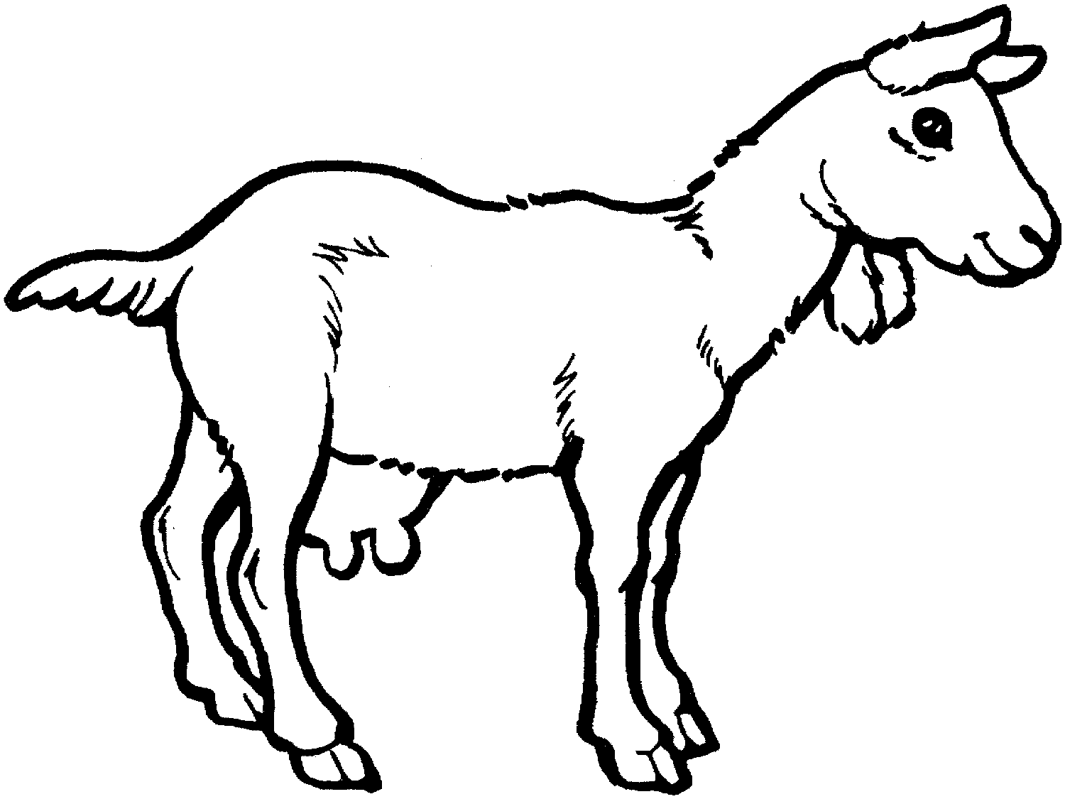 Coloring page: Goat (Animals) #2408 - Free Printable Coloring Pages