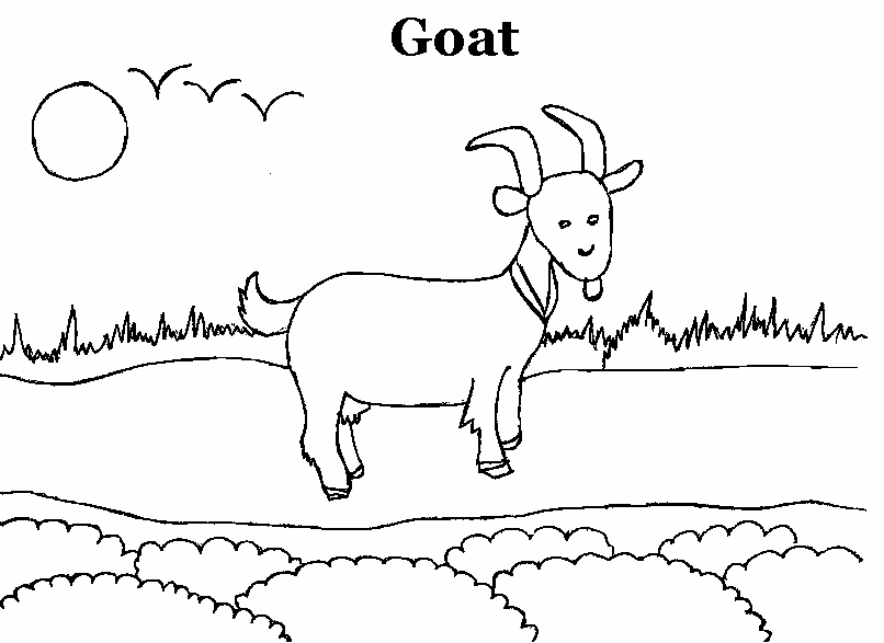 Coloring page: Goat (Animals) #2413 - Free Printable Coloring Pages
