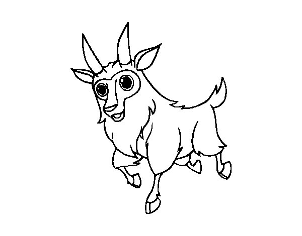 Coloring page: Goat (Animals) #2419 - Free Printable Coloring Pages