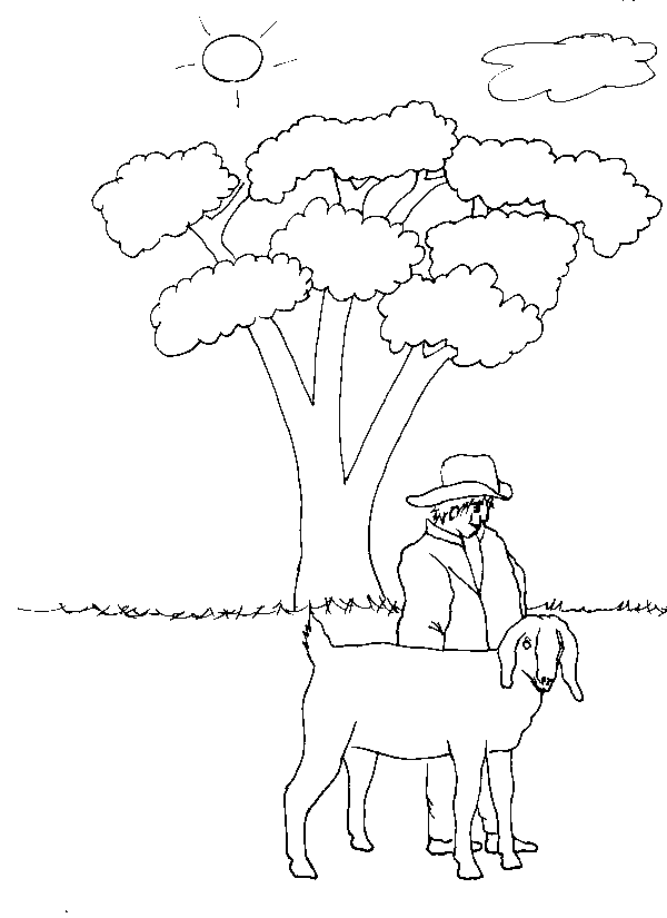 Coloring page: Goat (Animals) #2430 - Free Printable Coloring Pages