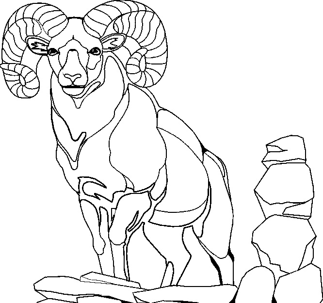 Coloring page: Goat (Animals) #2448 - Free Printable Coloring Pages