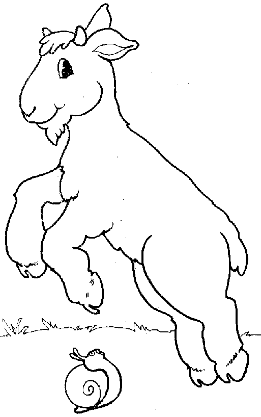 Coloring page: Goat (Animals) #2498 - Free Printable Coloring Pages