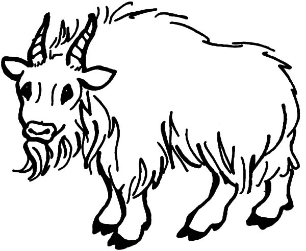 Coloring page: Goat (Animals) #2515 - Free Printable Coloring Pages