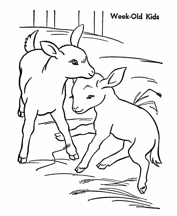 Coloring page: Goat (Animals) #2518 - Free Printable Coloring Pages