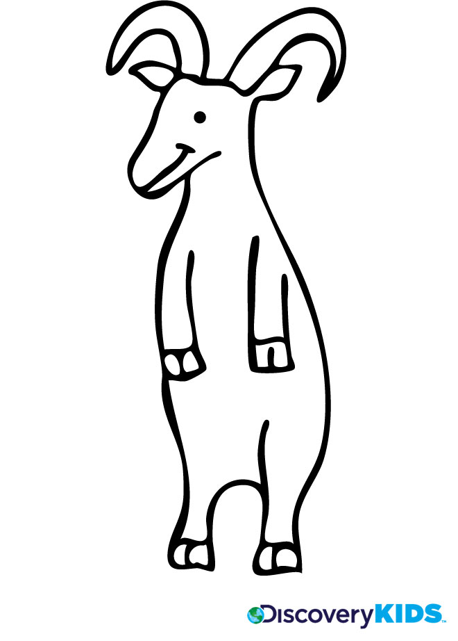 Coloring page: Goat (Animals) #2519 - Free Printable Coloring Pages