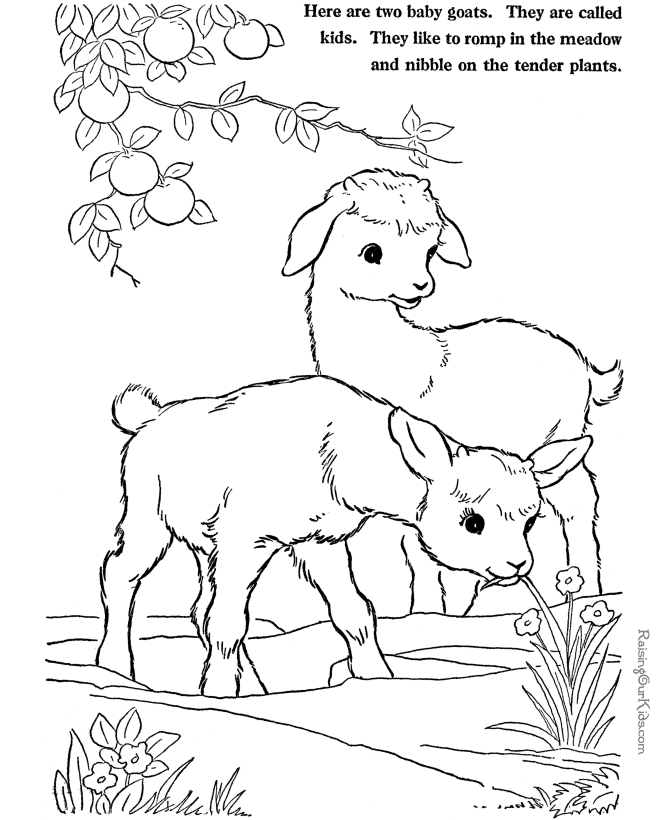 Coloring page: Goat (Animals) #2520 - Free Printable Coloring Pages