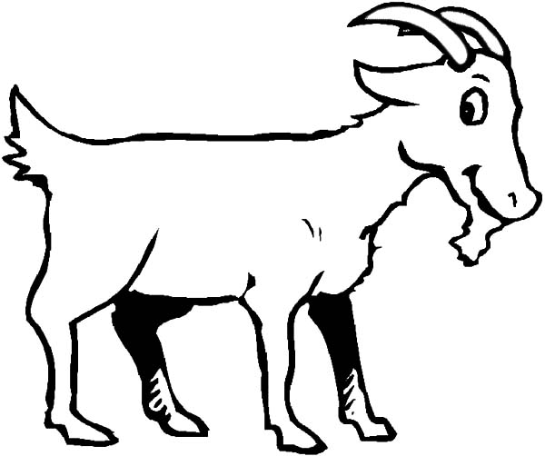 Coloring page: Goat (Animals) #2522 - Free Printable Coloring Pages