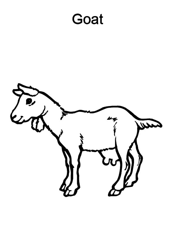 Coloring page: Goat (Animals) #2541 - Free Printable Coloring Pages