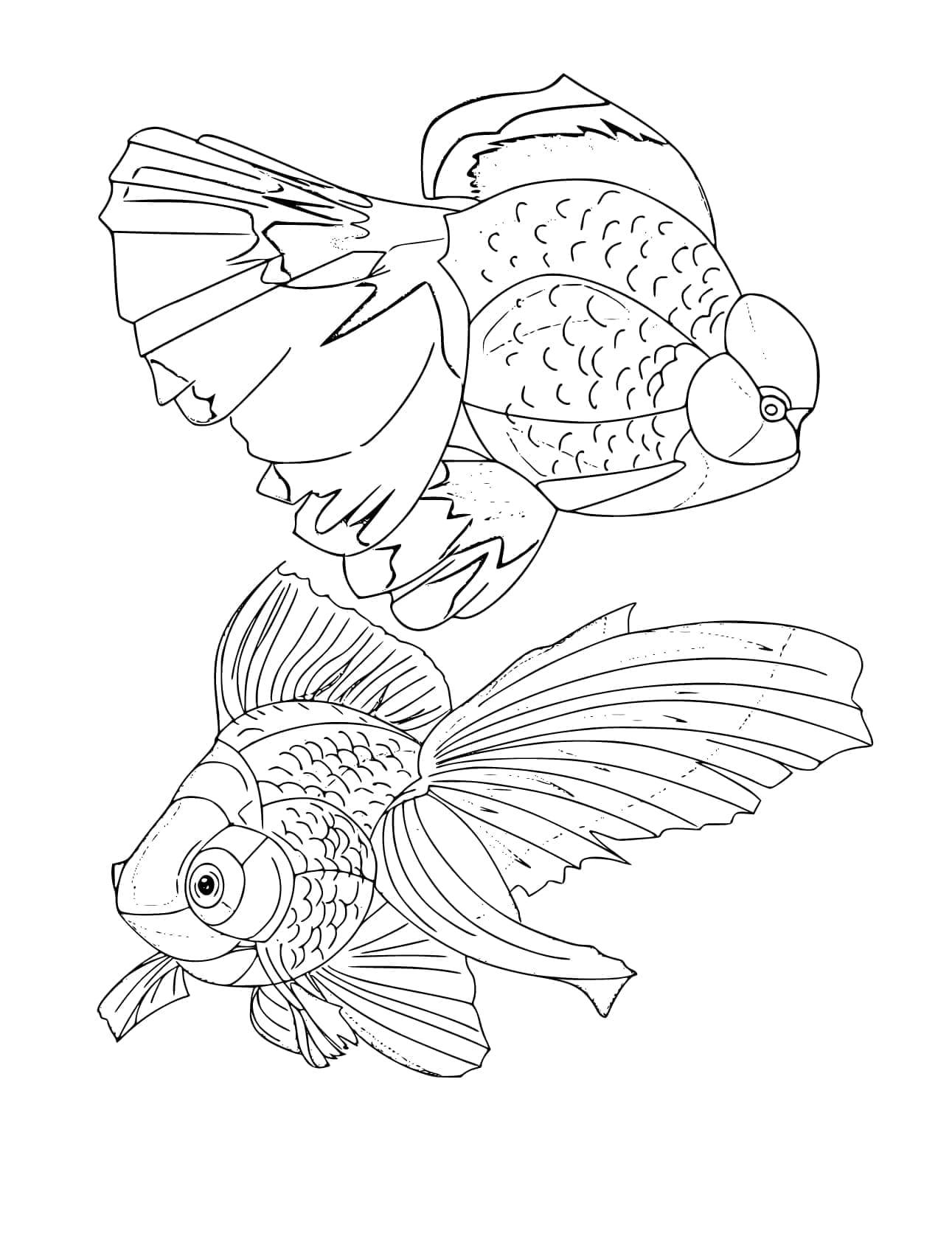 Free printable Goldfish coloring page #208311 from Animals collection