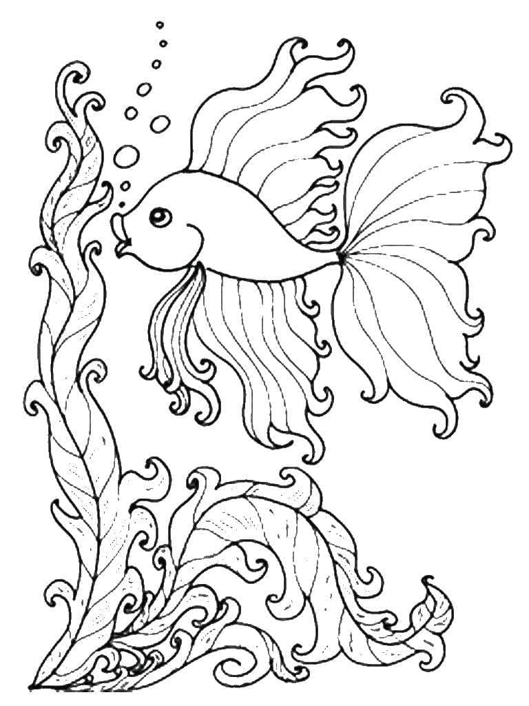 Free printable Goldfish coloring page #208312 from Animals collection