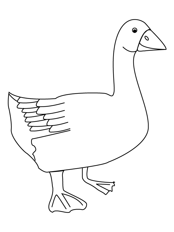 Coloring page: Goose (Animals) #11641 - Free Printable Coloring Pages