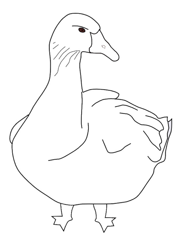 Coloring page: Goose (Animals) #11652 - Free Printable Coloring Pages