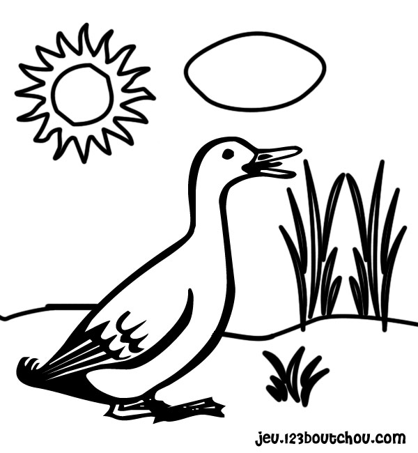 Coloring page: Goose (Animals) #11655 - Free Printable Coloring Pages