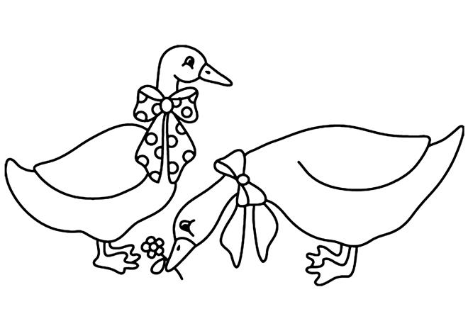 Coloring page: Goose (Animals) #11660 - Free Printable Coloring Pages