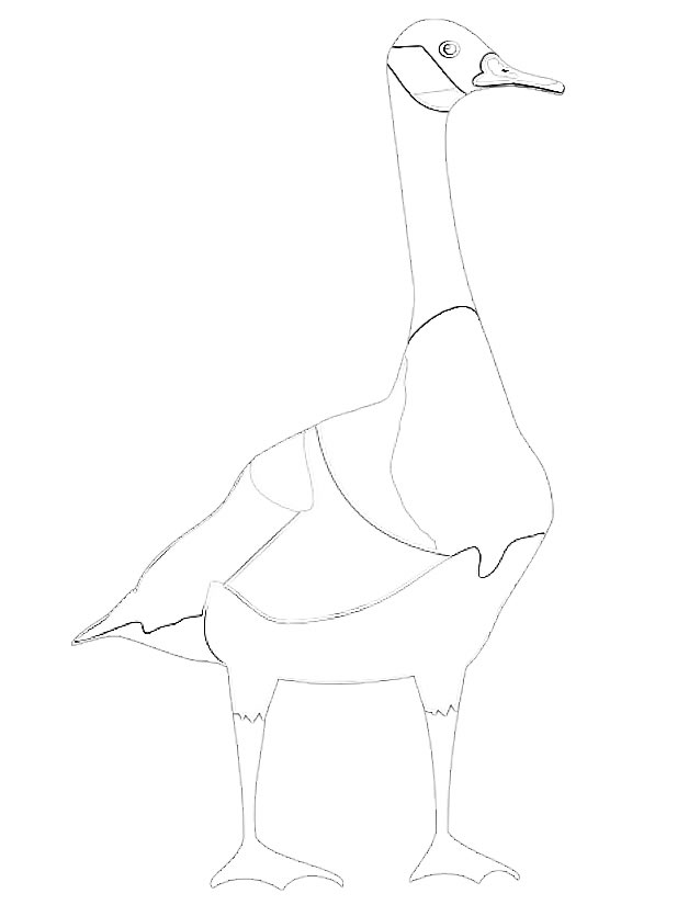 Coloring page: Goose (Animals) #11664 - Free Printable Coloring Pages