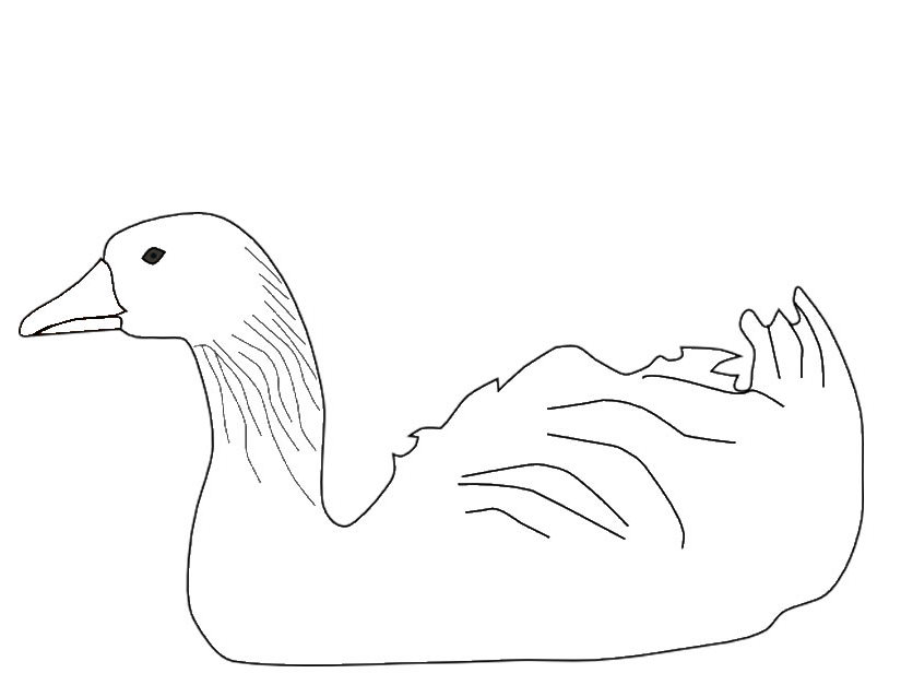 Coloring page: Goose (Animals) #11666 - Free Printable Coloring Pages
