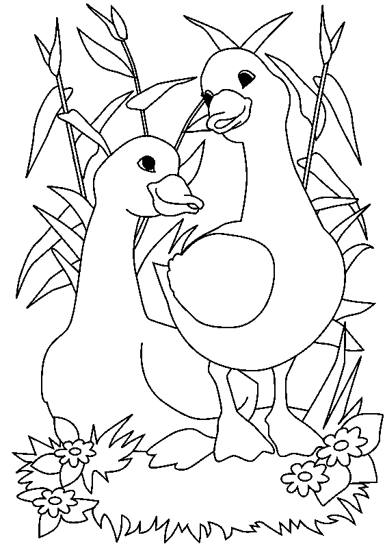 Coloring page: Goose (Animals) #11679 - Free Printable Coloring Pages