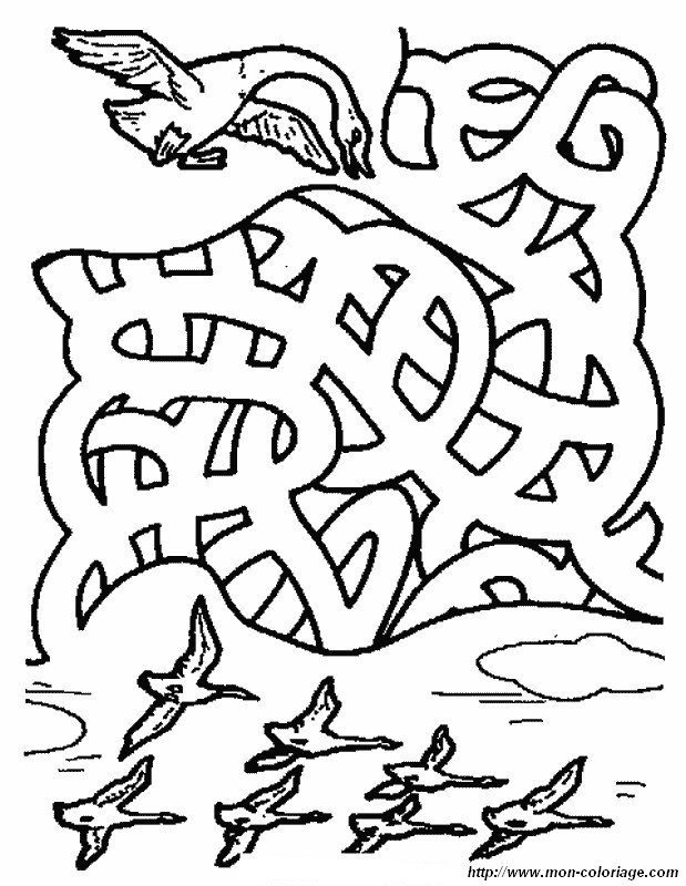Coloring page: Goose (Animals) #11686 - Free Printable Coloring Pages