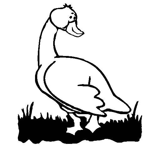 Coloring page: Goose (Animals) #11688 - Free Printable Coloring Pages