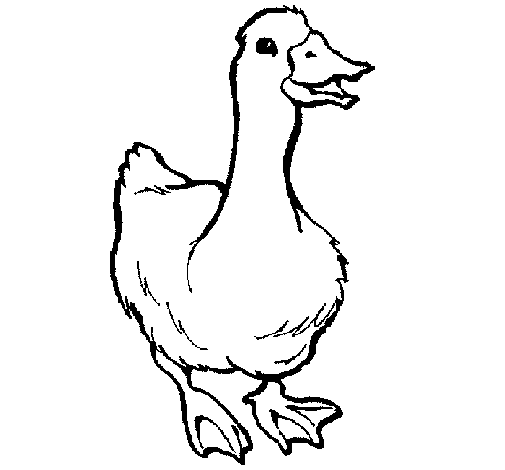 Coloring page: Goose (Animals) #11696 - Free Printable Coloring Pages