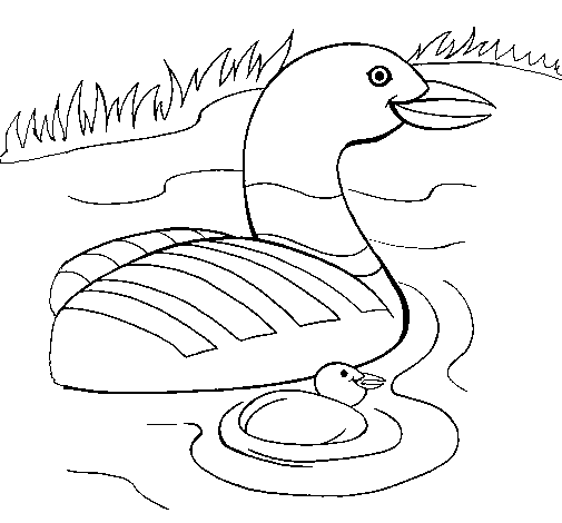 Coloring page: Goose (Animals) #11701 - Free Printable Coloring Pages