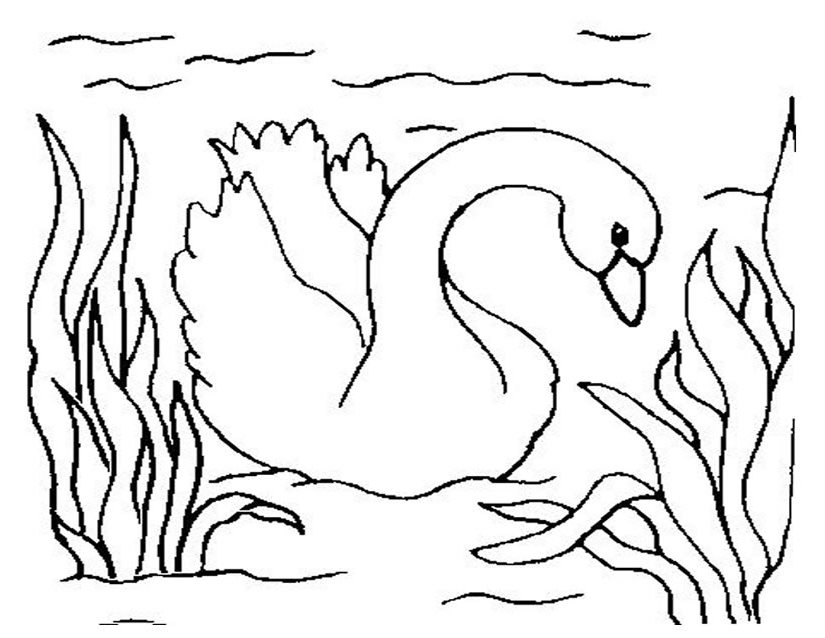 Coloring page: Goose (Animals) #11718 - Free Printable Coloring Pages